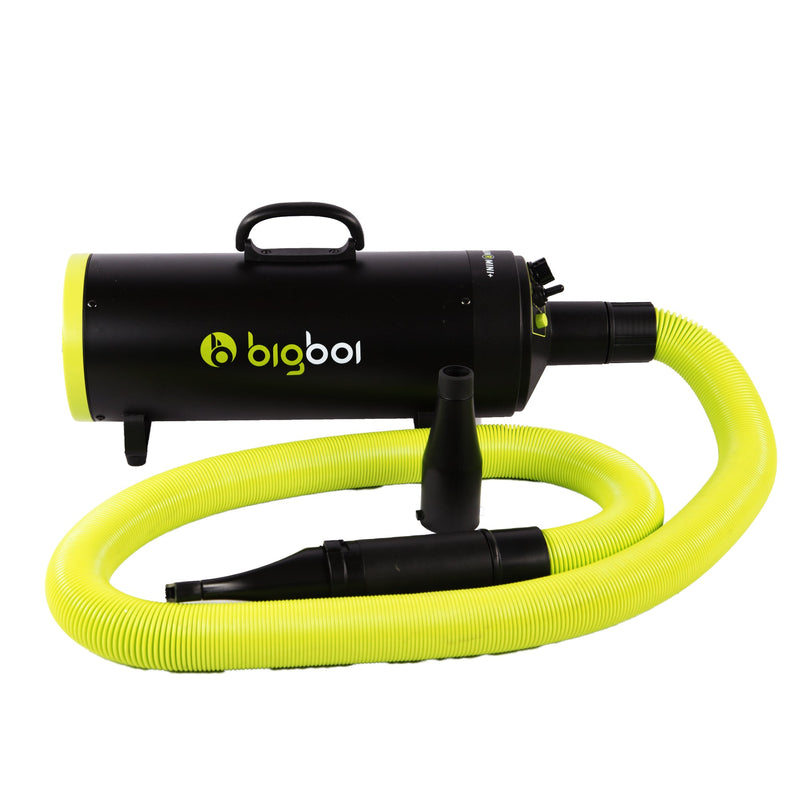 Bigboi BlowR Mini Plus - Twin Motor